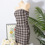 Plaid Print Tube Top Mini Dress GNZD-51586SBD