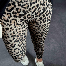 Leopard Print Slim Pants GNZD-51575PBD