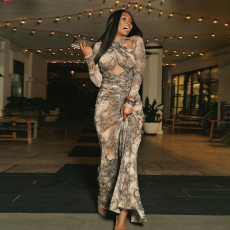 Snake Print Long Sleeve Hollow Out Maxi Dress GSLF-K25D74472
