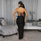 Halterneck Large Flowers Solid MaxI Dress CYA-901951