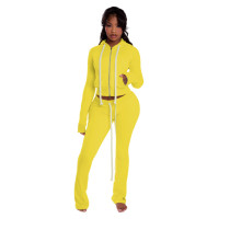 Long Sleeve Zipper Hooded Cardigan Two-Piece Pants Set YD-8827