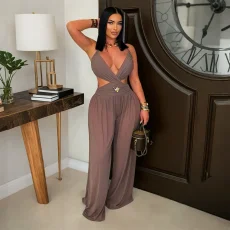 V Neck Backless See Through Jumpsuit CYA-901980