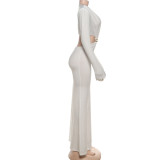 V Neck Long Sleeve Maxi Dress XEF-K25D78556