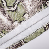 Snake Print Halterneck Tops Pants Suit GSZM-C25ST208