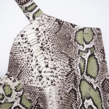 Snake Print Halterneck Tops Pants Suit GSZM-C25ST208