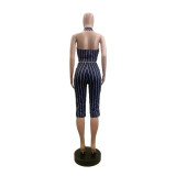 Stripe Sleeveless Lapel Two Piece Set GSMJ-6063