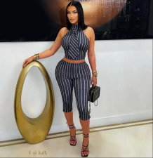 Stripe Sleeveless Lapel Two Piece Set GSMJ-6063