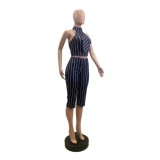 Stripe Sleeveless Lapel Two Piece Set GSMJ-6063