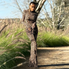 Long Sleeve Print Pleated Maxi Dress XEF-K25D79845