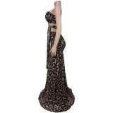 Leopard Print Tube Top Backless Maxi Dress BY-7501