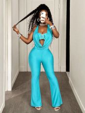 Halterneck Solid Color Sleeveless Jumpsuit YWXS-K25L1029