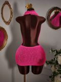 Knits Halterneck Backless Mini Dress YWXS-K25L1003