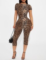 Leopard Print Shorts Sleeve Jumpsuit YWXS-K25L721