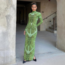 Print Long Sleeve Slim Maxi Dress XEF-K25D76503