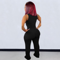 Plus Size V Neck Sleeveless Flare Pants 2 Piece Set LM-2156