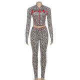 Leopard Print Zipper Patchwork 2 Piece Pants Set DLSF-K25S80683