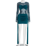 Solid Color Long Sleeve Mesh Mini Dress GSZM-C25DS246