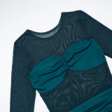 Solid Color Long Sleeve Mesh Mini Dress GSZM-C25DS246
