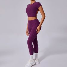 Solid Color Backless Yoga Two Piece Pants Set GQSA-71240/46324