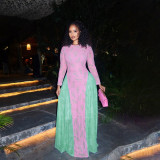 Mesh Print Long Sleeve Maxi Dress GYME-K25D76941