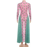 Mesh Print Long Sleeve Maxi Dress GYME-K25D76941