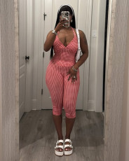 Halterneck Plaid Print Two Piece Pants Set YWXS-K25L1144