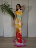 Sleeveless Gradient Print Maxi Dress YWXS-K25L1175