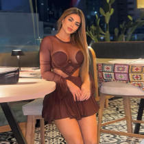 Mesh Patchwork Long Sleeve Mini Dress GZJQ-K25D80394