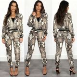 Snake Print Zipper Tops Pants 2 Piece Set HMS-6180
