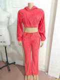 Solid Color Plush Long Sleeve Pants Suit GBGF-258302
