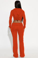 Casual Hooded Solid Color Two Piece Pants Set YD-8828