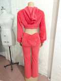 Solid Color Plush Long Sleeve Pants Suit GBGF-258302