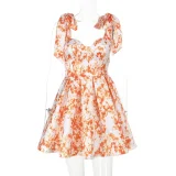 Print Tie Up Mini Dress SUM-ZX24179PFO