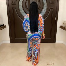 Lantern Sleeve Printed Two Piece Pants Set FYWF-YW0863