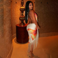 Tie Up Deep V Neck Tassel Midi Dress DLSF-K24S79966