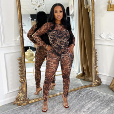 Leopard Mesh Print See Through Jumpsuit BY-7541