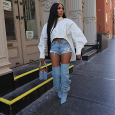 Lantern  Long Sleeve Irregular Shirt LSD-2537