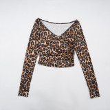 Leopard Print Deep V Neck Two Piece Pants Set MXBF-J25ST311