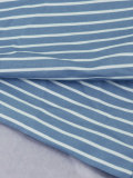 Plus Size Long Sleeve Stripe Print Shirt Shorts 2 Piece Set HNIF-DHN124