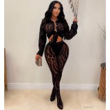 Print Mesh Cardigan Shirt Pants 2 Piece Set YNSF-8008