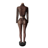 Mesh Leopard Print Long Sleeve Pants Suit MEM-88667