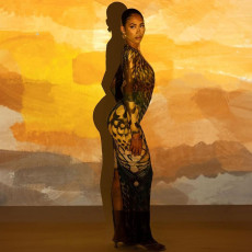 Print Patchwork Long Sleeve Split Maxi Dress DLSF-K25D81202