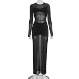 Solid Color Mesh Pleated Maxi Dress GSZM-C25DS287