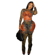 Print Long Sleeve Tight Two Piece Pants Set SHD-9562