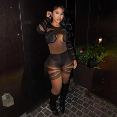 Mesh Irregular Stripe Print Jumpsuit SHD-9564