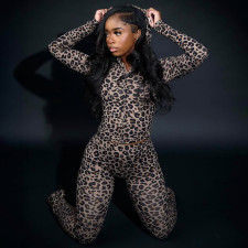 Leopard Print Hooded Sport Two Piece Pants Set DLSF-K25S82117