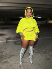 Hooded Puff-Sleeve Top and Pleated Skirt Two-Piece Set BMF-GL602