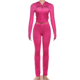 Leopard Print Hooded Sport Two Piece Pants Set DLSF-K25S82117