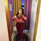 Contrast Color Long Sleeve Sport Suit BMF-TW545