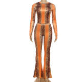 Long Sleeve Snake Print Two Piece Pants Set XEF-K25S84264